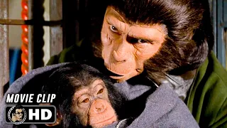 ESCAPE FROM THE PLANET OF THE APES Clip - "Understanding" (1971)