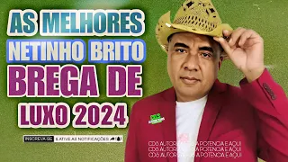 NETINHO BRITO OFICIAL - AS MELHORES BREGA DE LUXO ATUALIZADO [2024]