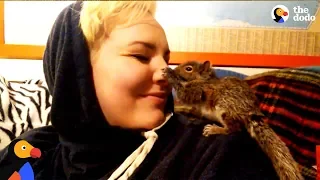 Woman Sends Baby Squirrels She Rescued Back To The Wild | The Dodo