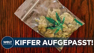 CANNABIS: Kiffer aufgepasst! Drogenbeauftragte der Bundesregierung überrascht mit Eigenbedarfvorstoß