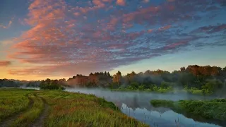 Пах шіркін қап қара ұзын мушені көріп есінен танды. Ангимелер жинагы