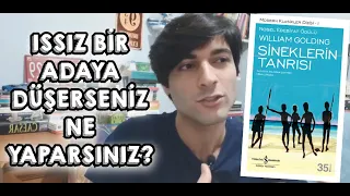 Sineklerin Tanrısı Kitap İncelemesi I Edebi Ve Tarihsel Anlamda Yorum