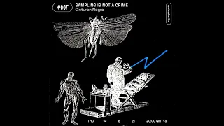 Sampling is not a Crime-(Mixed by Cinturon Negro,Root Radio,12-8-2021)