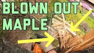 Blown Apart Maple Tree Removal!
