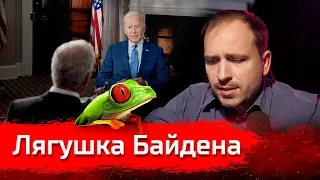 Лягушка Байдена // Злоба Дня