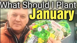 What should I be planting in January ? |  Allotment Gardening for Beginners