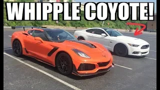2019 ZR1 Gets CALLED OUT By a Whipple 5.0 Mustang!!! This Should be Good...