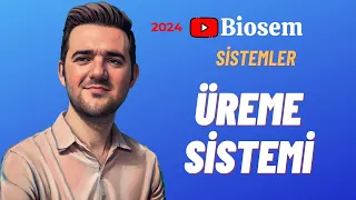 Üreme Sistemi | Konu Anlatımı 11. Sınıf Biyoloji AYT YKS 2024