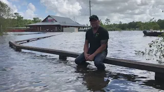 'I’m in four feet of water' | Gator Country flooded by Imelda, unsure how many gators are left