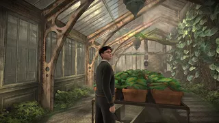 The Herbology Greenhouse Music & Ambience Harry Potter