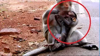 Ah ! Why mum tighten new baby like this ? Baby angry mommy | Mum protect baby from enemy #631