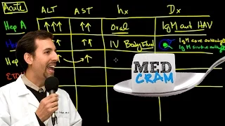 Liver Diseases Explained Clearly (Acute vs Chronic Hepatic Diseases)