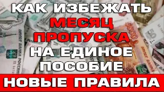 Как избежать месяца пропуска при продлении Единого пособия в 2024 году