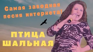 Птица шальная - Вера Снежная 🎶 Самая зажигательная песня интернета!