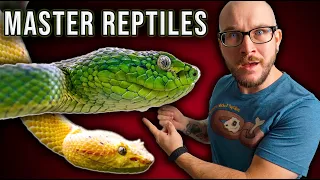 Top 5 MOST DIFFICULT TO KEEP Master Level Reptiles