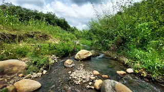 You Will Fall Sleep Instantly with babbling brook Nature Sounds, River and stream, River ambience