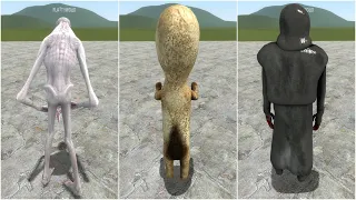 PLAYING AS SCP-096, SCP-173, SCP-049 in Garry's Mod!