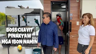 PINAKYAW NI CHAVIT SINGSON ANG IBON NG MURILLO BROS! Showing our bird to boss Chavit! | Murillo Bros