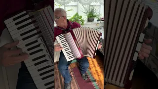 Weltmeister accordion, 96 Bass, 3 voice, 5+3 register, Festival model, Germany Accordion, ON SALE