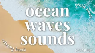 5 HOUR Ocean Waves Sounds  🌊  beach relaxation / ocean waves background [no music]