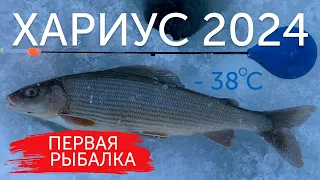 ЭТО НАДО ВИДЕТЬ! Что я нашёл в желудке у хариуса! Первая рыбалка на хариуса 2024.