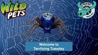 Wild Pets Spider by Moose Toys