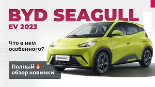 Полный обзор BYD Seagull 2023 | Самый маленький BYD | Бюджетный BYD