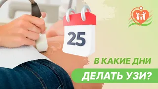 📅  В какие дни менструального цикла можно делать УЗИ?