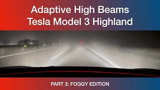 Adaptive High Beams for Tesla Model 3 2024 Highland (Update 2024.2) PART 3 FOGGY EDITION