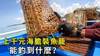 二十個大魚籠，裝上千塊海膽當誘餌，到底能釣出什麽？