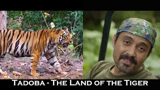 The Land of the Tiger