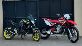 HONDA TORNADO 293 VS YAMAHA MT03 CON ESCAPE PAOLUCCI 🔥