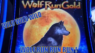 ★WILD WILD WILD ! ★WOLF RUN GOLD Slot☆$150 Slot Free Play / $3.00 MAX Bet☆ San Manuel Casino 栗スロ