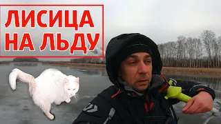 Рыбалка на мормышку по первому прозрачному льду!  Как ловить на мелководье?