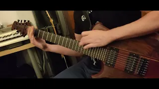 Wormed - Uncoloured Plasma Orifices Transported [guitar cover]