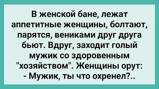 Мужик в Женской Бане! Сборник Свежих Смешных Жизненных Анекдотов!