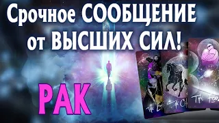 РАК 🧚‍♂️🧚‍♂️🧚‍♂️ СРОЧНОЕ СООБЩЕНИЕ ВЫСШИХ СИЛ для ВАС Таро Расклад гадание онлайн