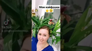 МОИ КАЙФУРИКИ ЗАЦВЕЛИ! ВИДЕО ВЫЙДЕТ НА ДНЯХ🤟😉