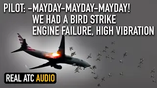 MAYDAY. Engine FLAME-OUT, High Vibrations after Bird Strike. American Boeing 737. REAL ATC