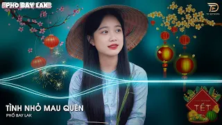 Hôm Nao Hoa Phượng Nở Về Quê Ghé Thăm Nhà Em Remix - Tình Nhỏ Mau Quên Remix Vinahouse TikTok 2024