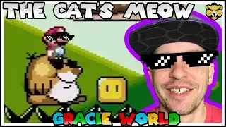 Super Gracie World: A Mario World Hack About Adorable Kittens Part 1