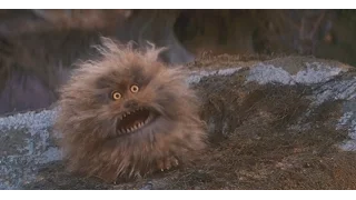 Fizzgig