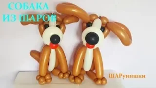 Собачка из шаров. Мастер класс. Как сделать. Balloon dog. Balloons. DIY. Hand made. How make