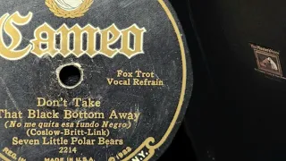 "Dont Take That Black Bottom Away" - Harry Reser Seven Little Polar Bears 1926 (HMV 102 Gramophone)