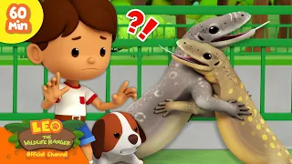 💥 EXCITING ANIMAL FIGHTS! 🥊 Reptiles, Insects & more! 🦎 | Leo the Wildlife Ranger | Kids Cartoons