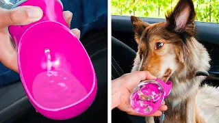 Gadgets pour chiens et créations pour chats 🐈🐕 Astuces pour animaux qui amélioreront votre vie