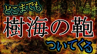 【樹海の鞄】不安奇異夜話ラジヲ変　【怪談収集家】中山市朗【第二の稲川淳二】ありがとう・ぁみ　出演！睡眠導入｜睡眠BGM ｜怪談