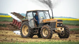 MOKRY OBORNIK I ORKA PO ŻYCIE 2023 | URSUS DOSTAJE W PALNIK! | URSUS 1224&ZETOR | ENGINE SOUND |