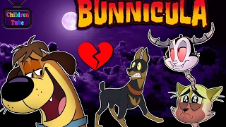 Bunnicula Harold In Love With Fluffy