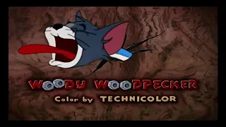 A bunch of Woody Woodpecker clips but I added the screams and gasps from Tom and Jerry (REUPLOAD)